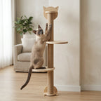Arbre à chat en bois – Design minimaliste et mignon