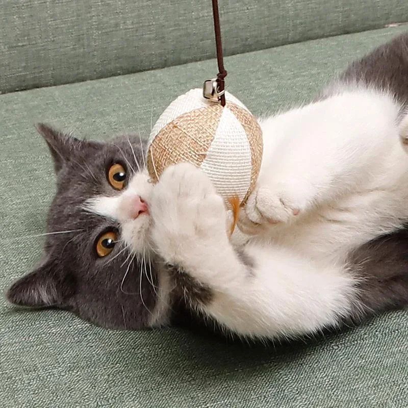 Canne à Pêche avec Jouets en Feathers pour Chat