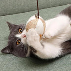 Canne à Pêche avec Jouets en Feathers pour Chat
