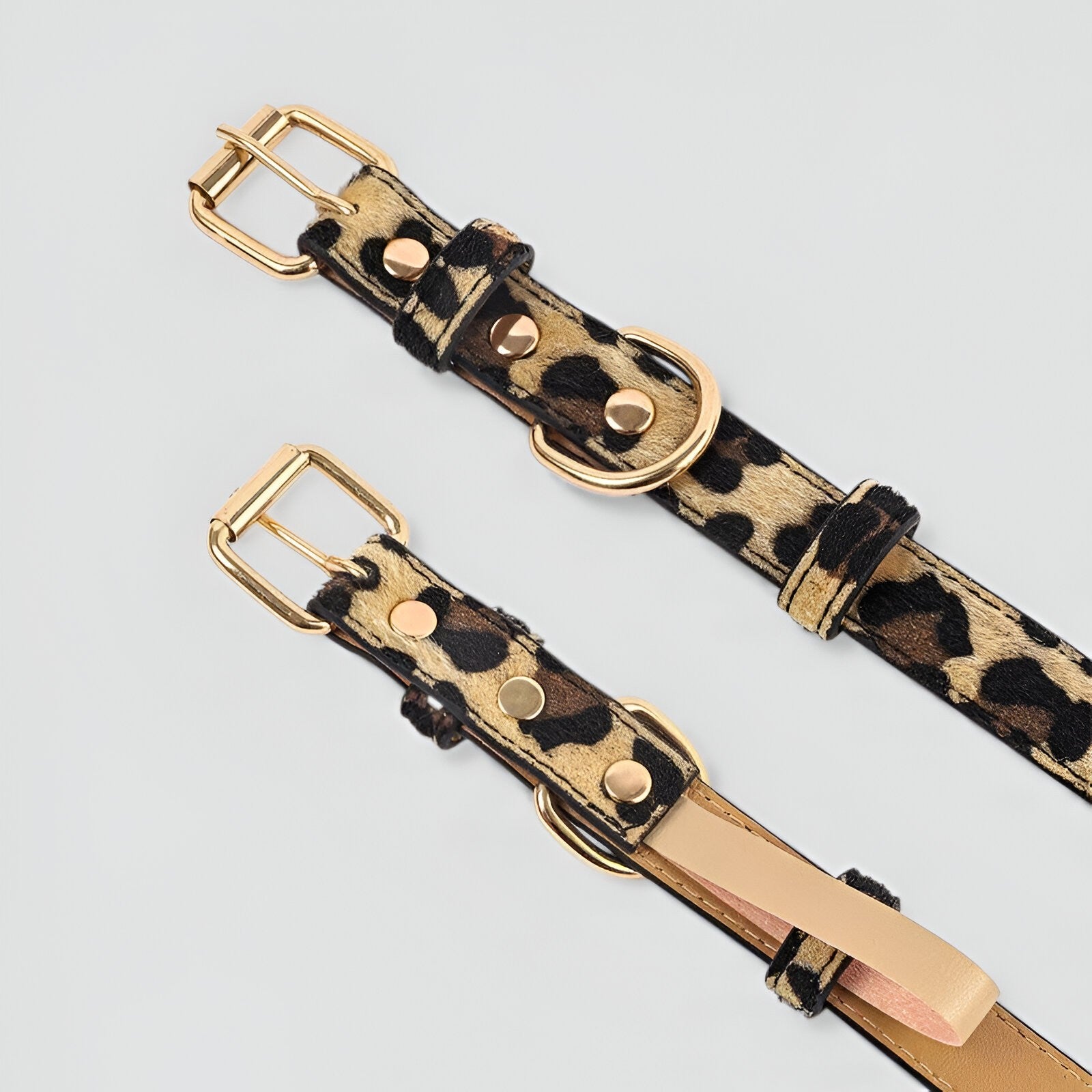 Collier Chic pour Chien ou Chat en Similicuir – Motif Léopard & Serpent