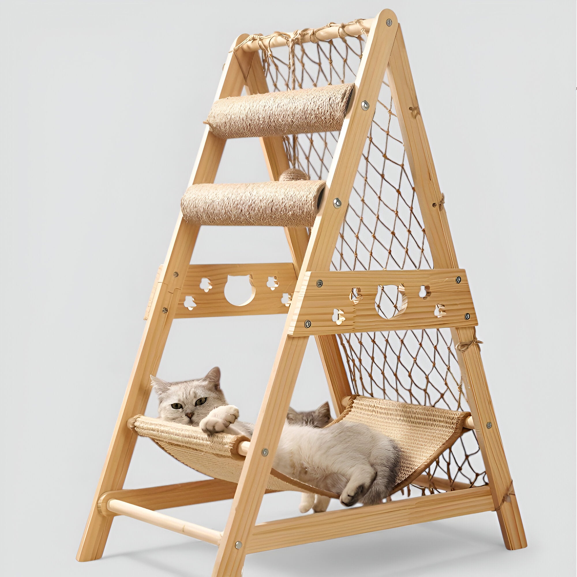 Griffoir à Échelle Naturelle