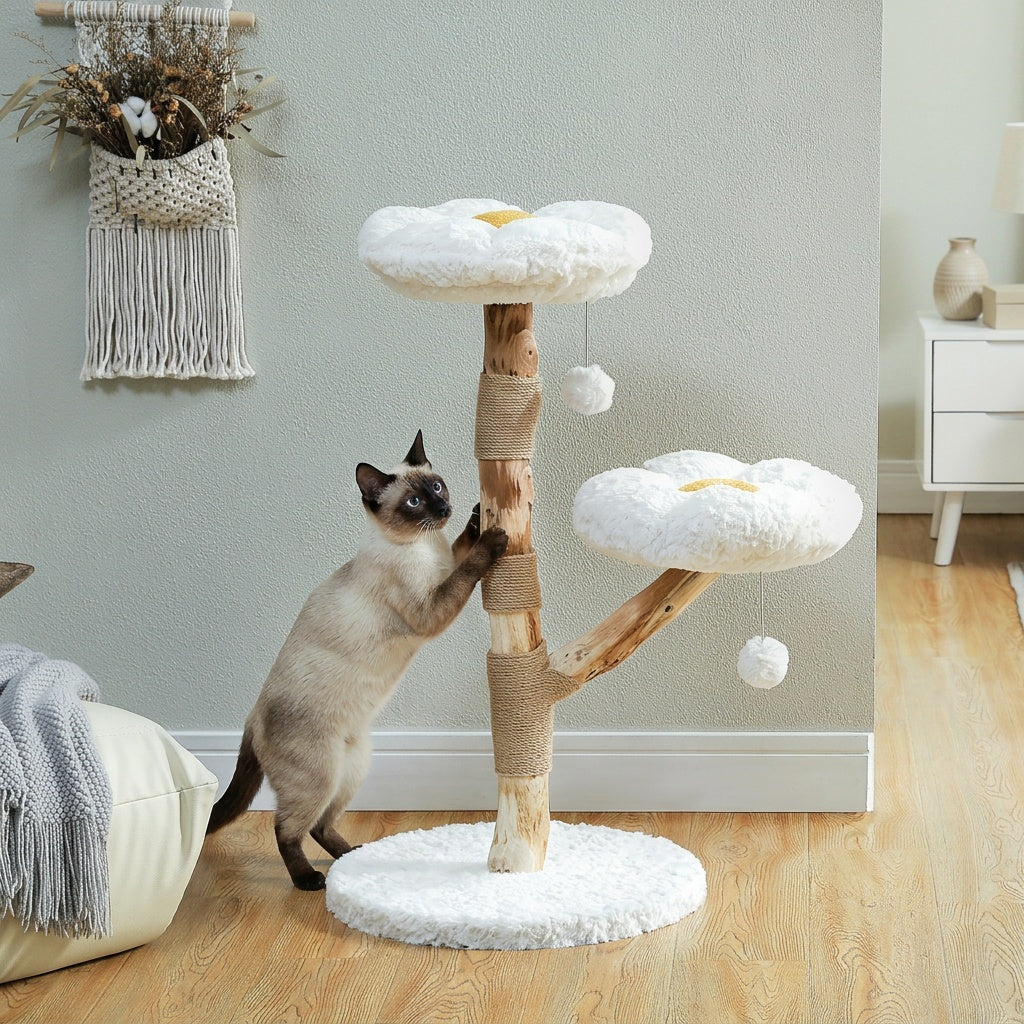Arbre à chat en forme d'œuf – Design ludique et confortable