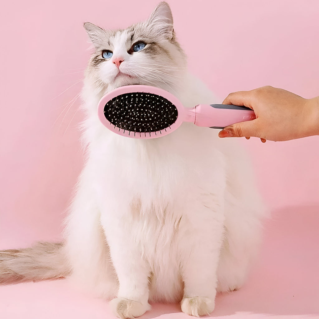 Brosse de toilettage autonettoyante pour animaux