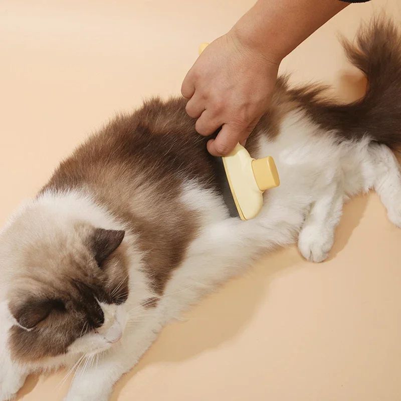 Brosse Anti-Puces et Anti-Poils pour Chat