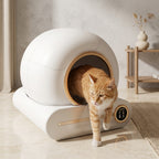 Litière automatique pour chat – Confort et propreté optimaux