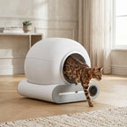 Litière automatique pour chat – Confort et propreté optimaux
