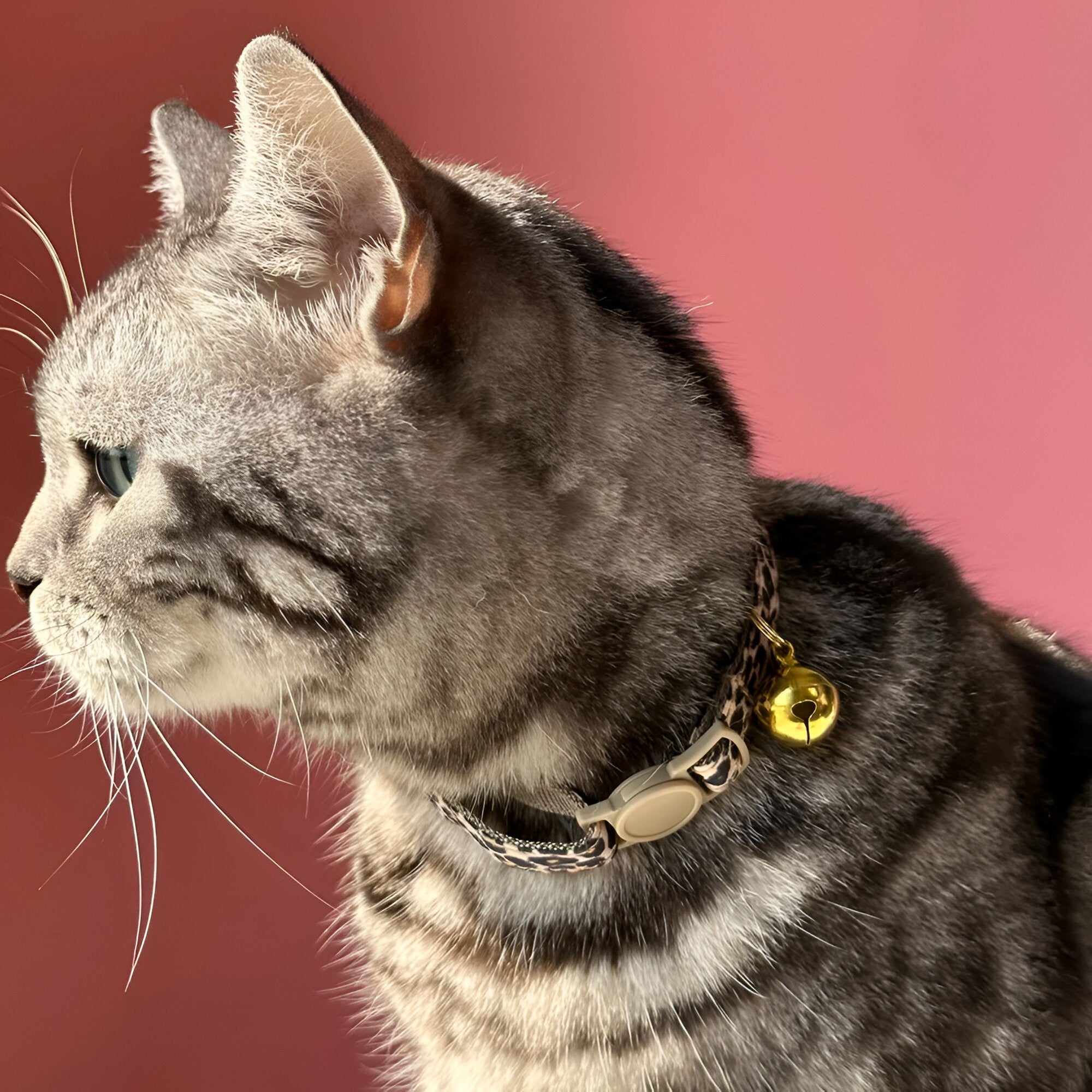 Collier Léopard Chic avec Clochette Dorée – Élégant, Réglable et Sécurisé