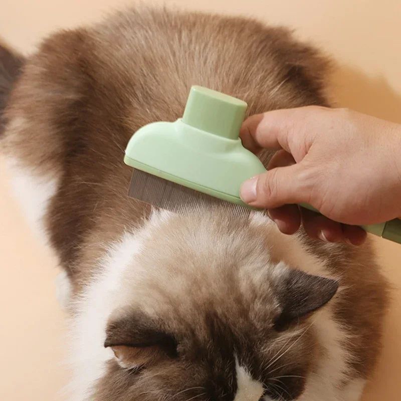 Brosse Anti-Puces et Anti-Poils pour Chat