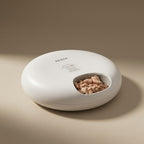 Distributeur automatique pour chat – Design élégant