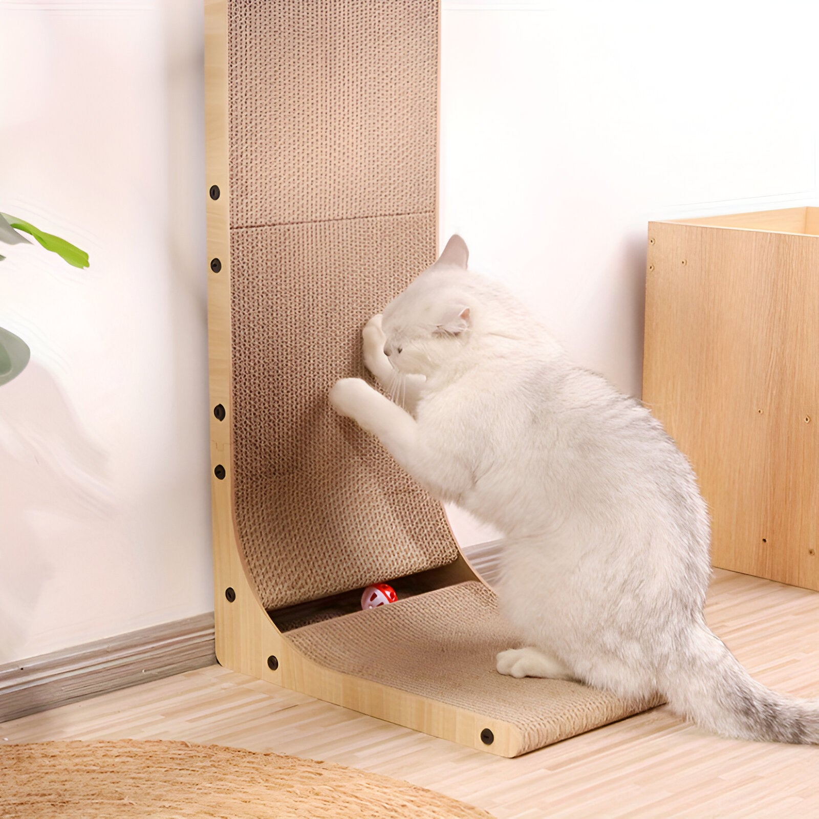 Griffoir Murale Design Naturel