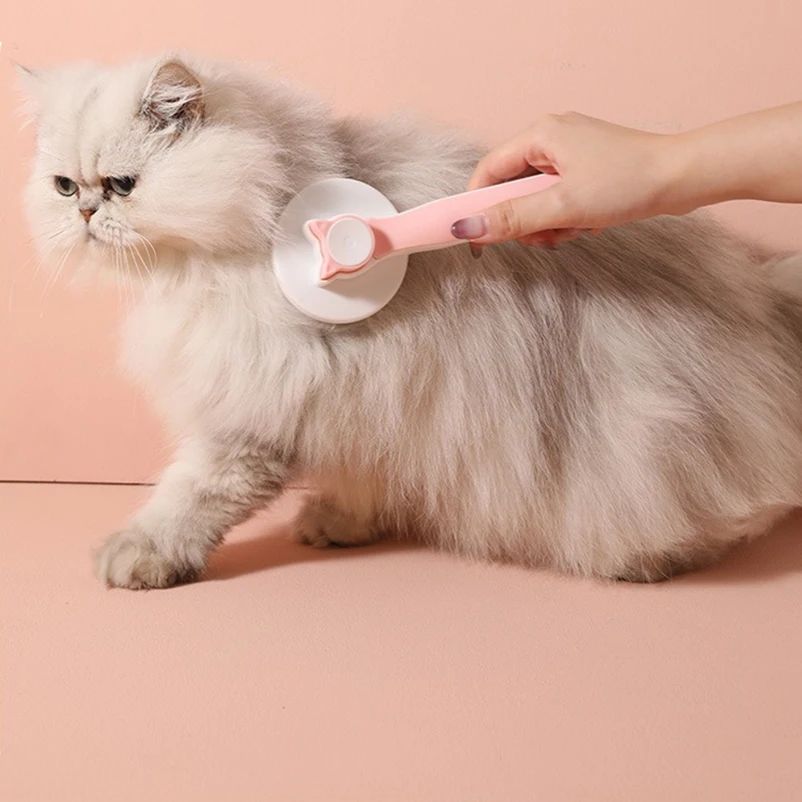 Brosse Auto-Nettoyante pour Chat
