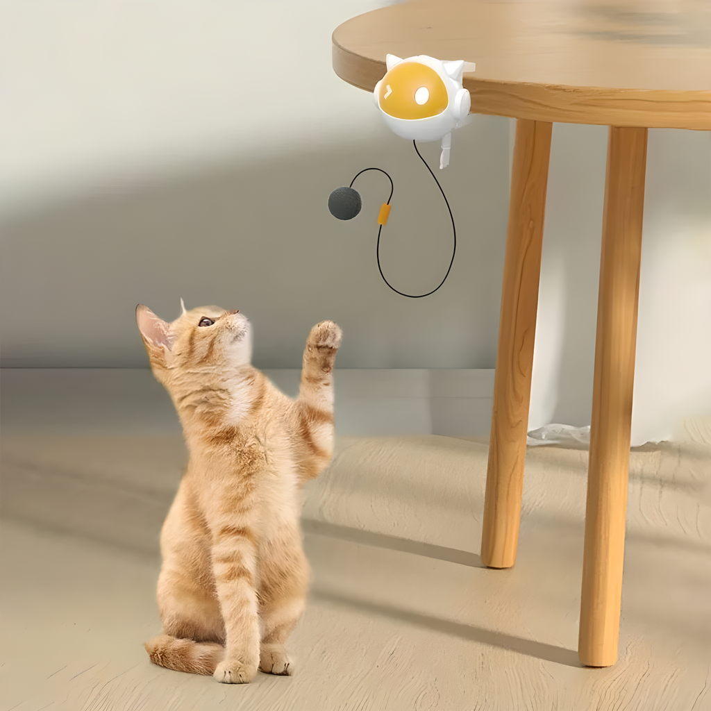 Jouet Automatique pour Chat avec Balle Suspendue