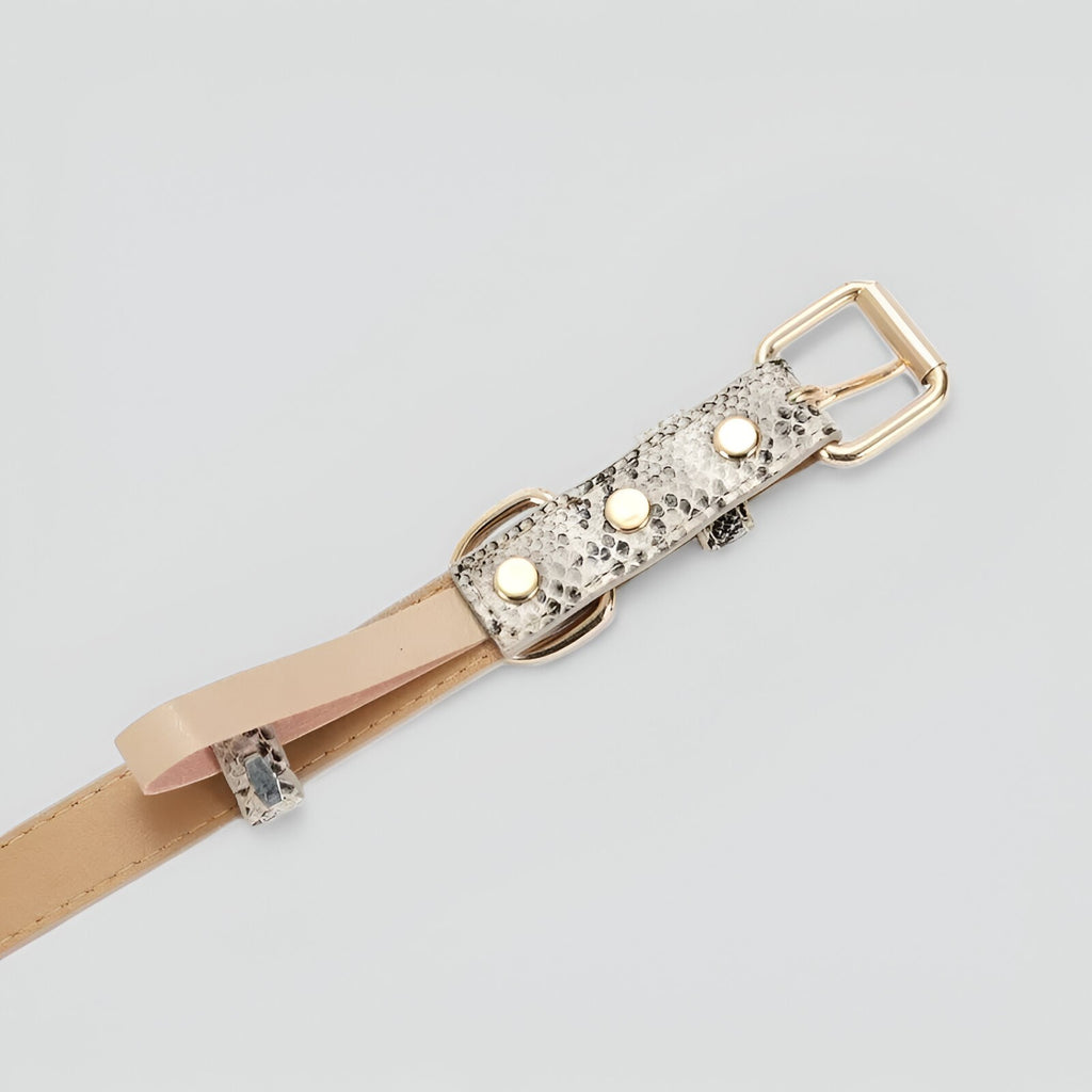 Collier Chic pour Chien ou Chat en Similicuir – Motif Léopard & Serpent