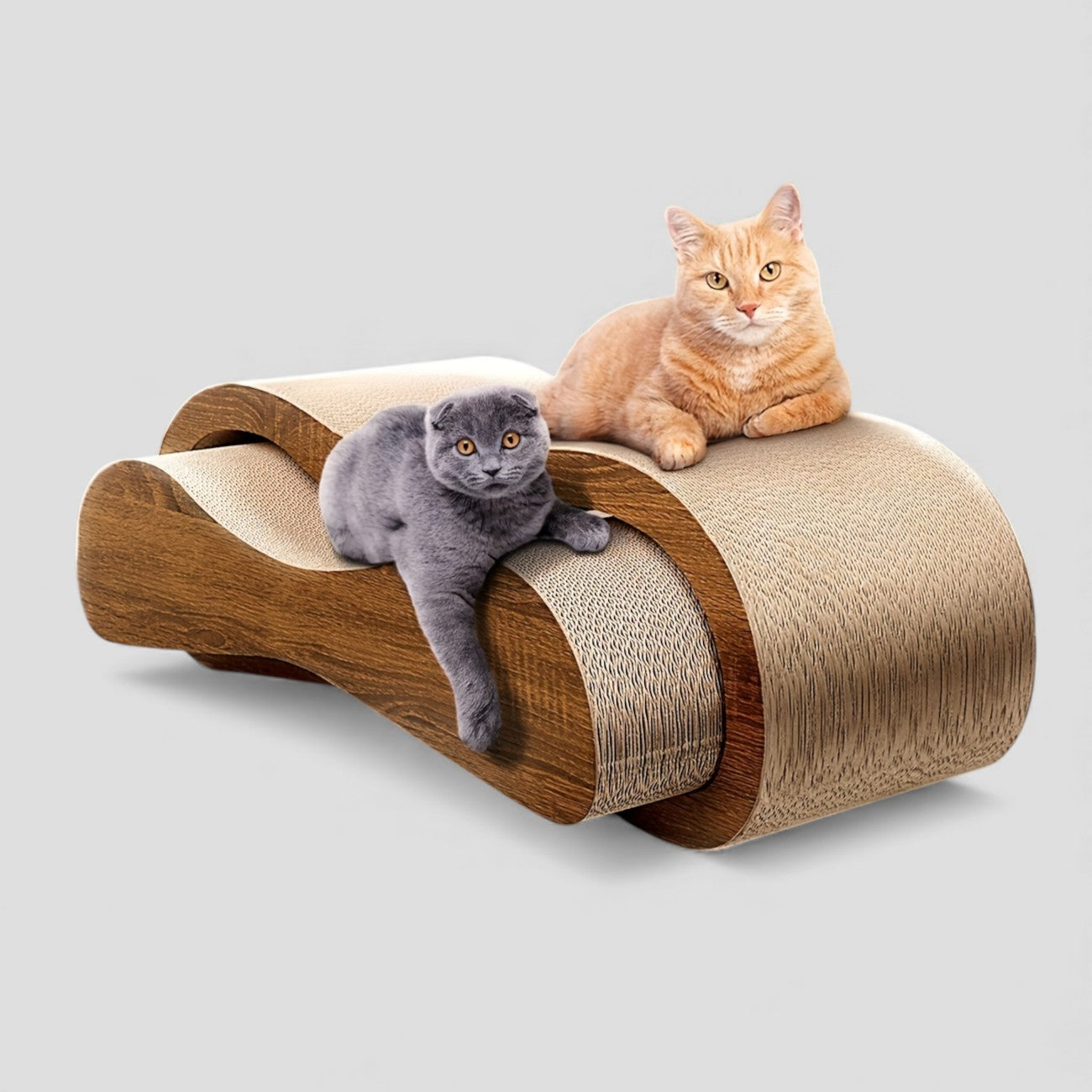 Griffoir Design Contemporain