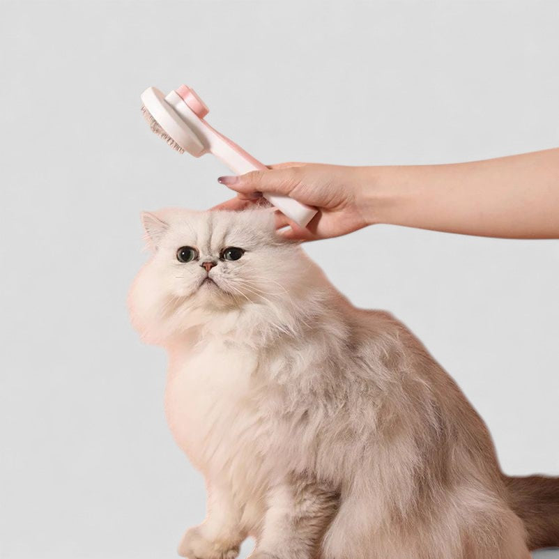 Brosse Auto-Nettoyante pour Chat