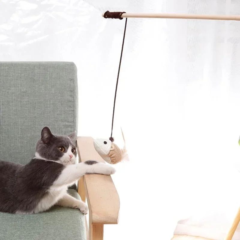 Canne à Pêche avec Jouets en Feathers pour Chat
