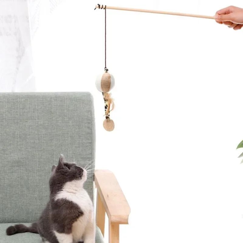 Canne à Pêche avec Jouets en Feathers pour Chat