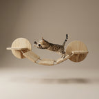Pont mural pour chat – Grimpe et aventure