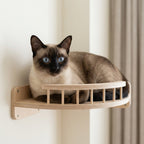 Étagère murale pour chat – Design minimaliste et pratique