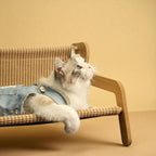 Lit Hamac Design pour Chat
