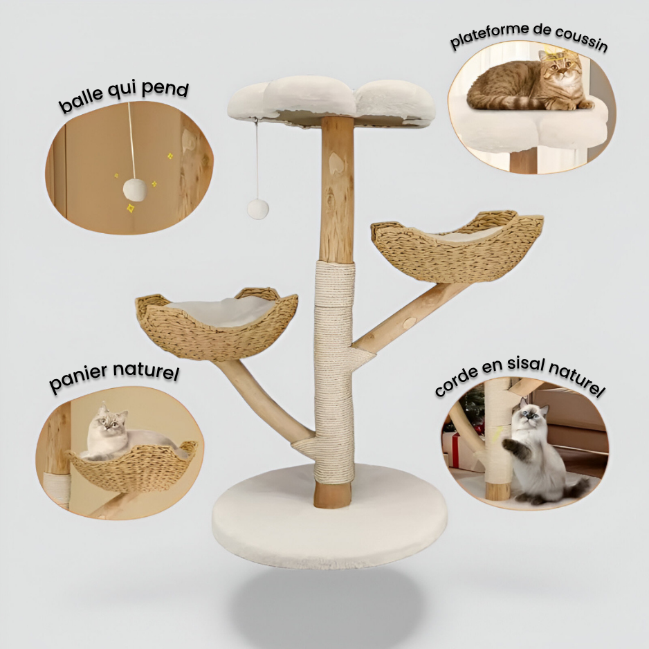 Arbre à chat à Gratter avec Plateformes et Sisal