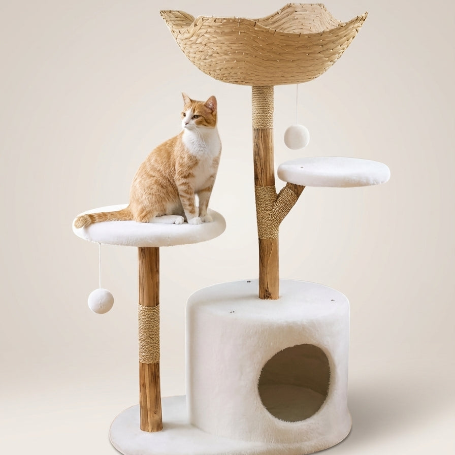 Arbre à Chat Cozy & Naturel