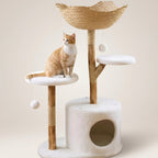 Arbre à Chat Cozy & Naturel
