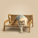 Lit Hamac Design pour Chat