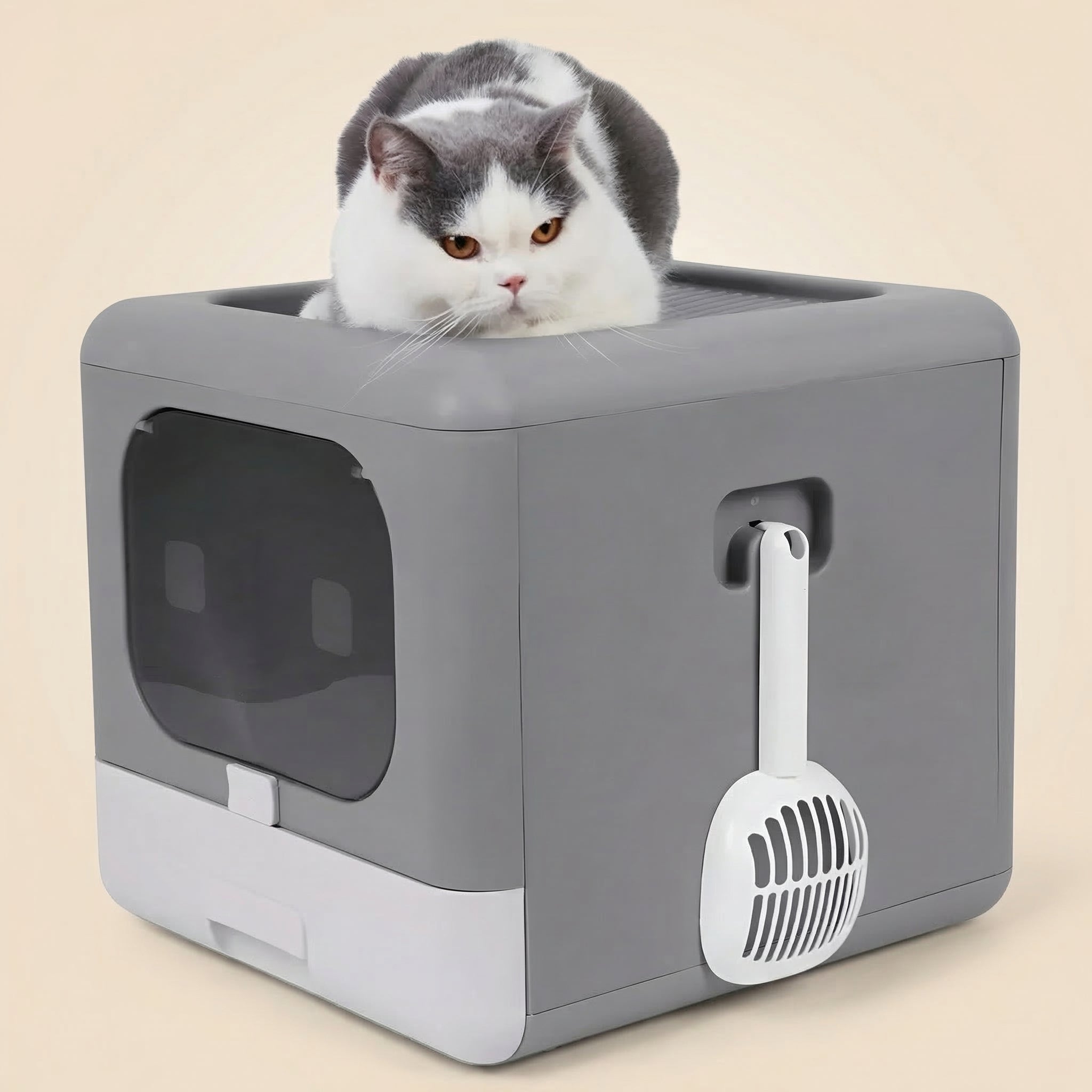 Litière design pour chat cosy