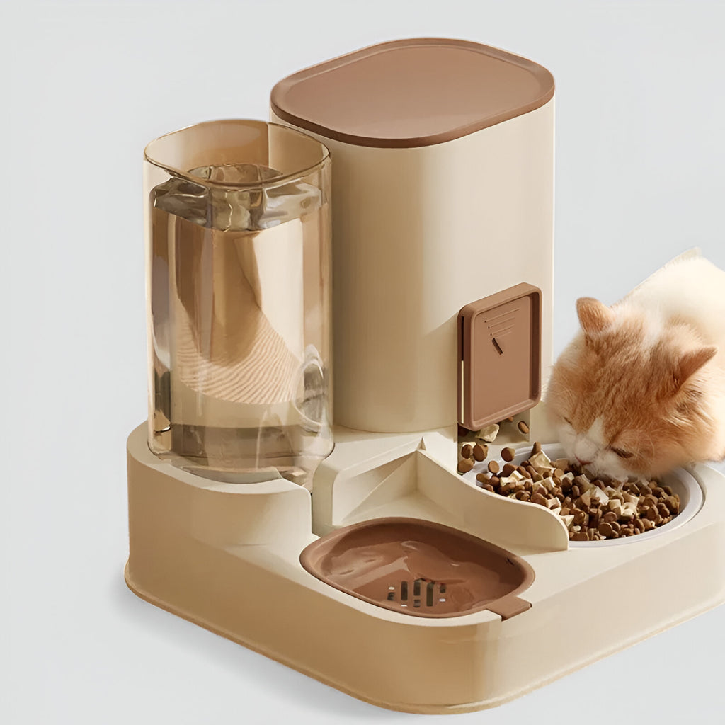 Gamelle automatique pour chat