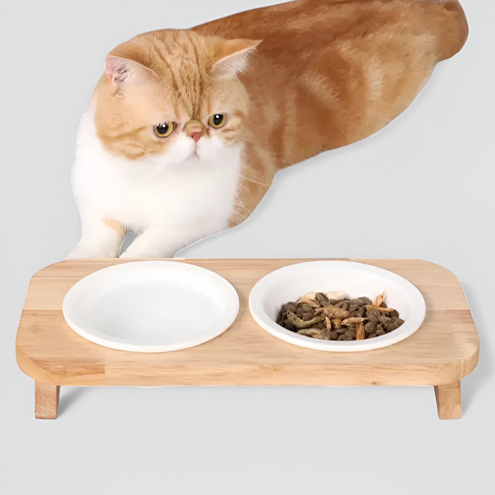 Gamelle repas stylé avec bol à empreintes