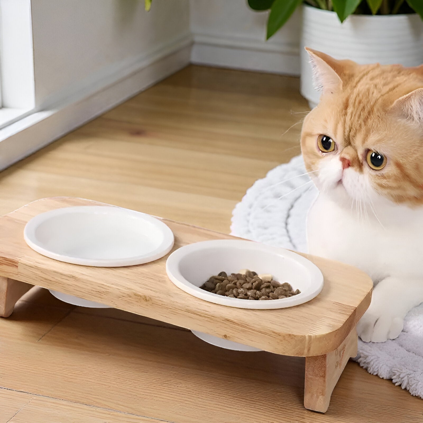 Gamelle repas stylé avec bol à empreintes