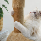 Griffoir câlin avec jouet suspendu