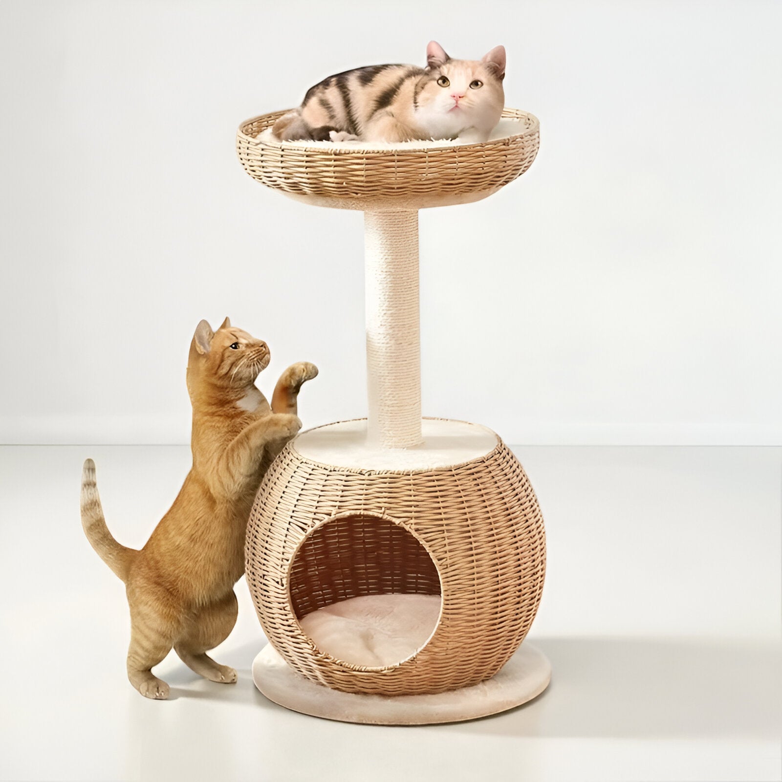 Arbre à Chat en Osier