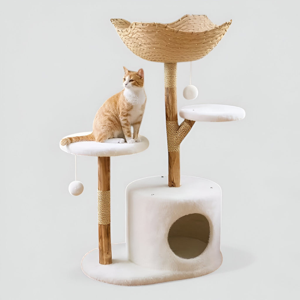 Arbre à Chat Cozy & Naturel