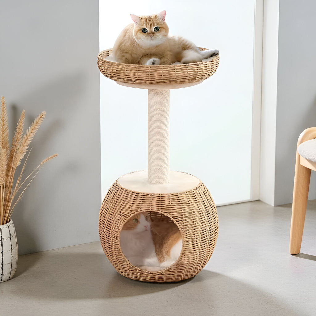 Arbre à Chat en Osier