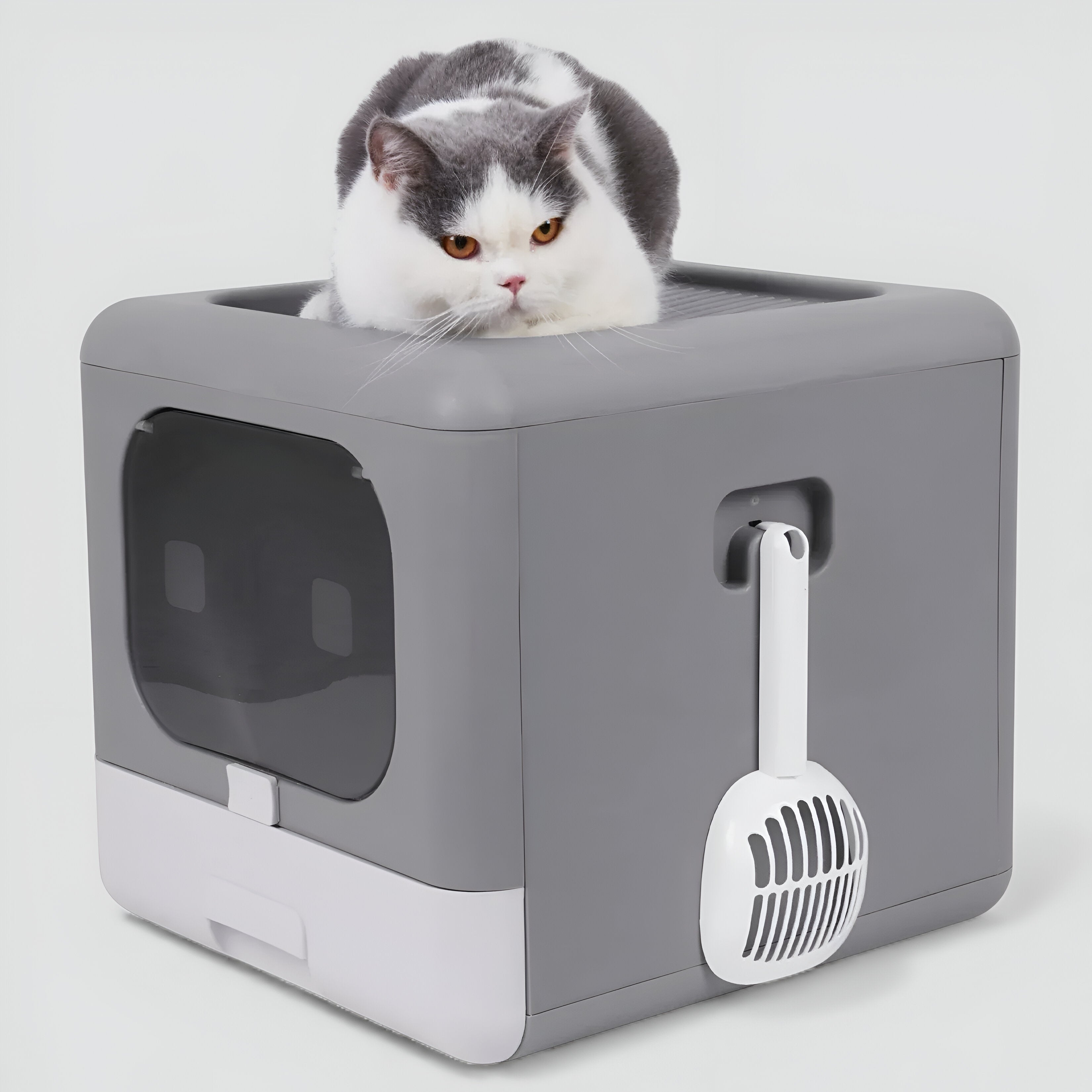 Litière design pour chat cosy