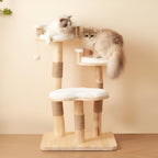 Arbre à Chat Design Naturel