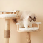 Arbre à Chat Design Naturel