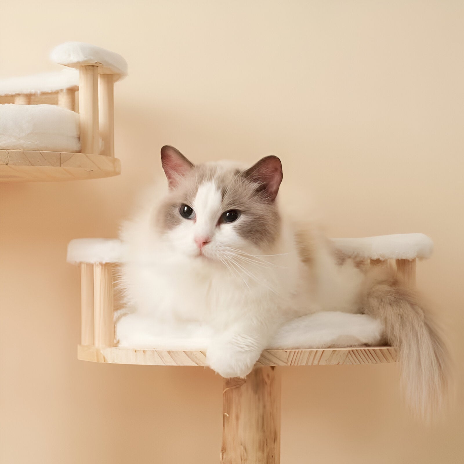 Arbre à Chat Design Naturel