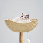 Arbre à Chat Cozy & Naturel