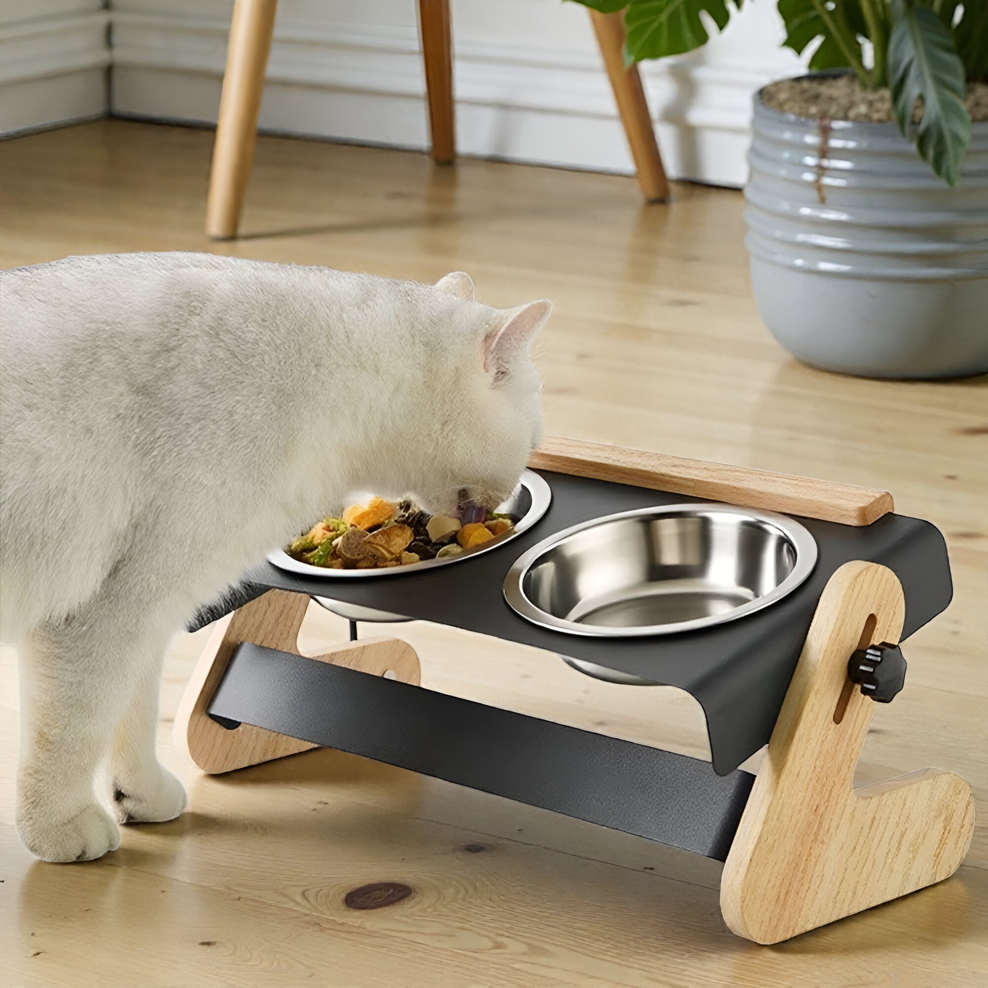 Gamelle repas design et pratique