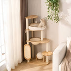 Arbre à Chat Équilibre Naturel