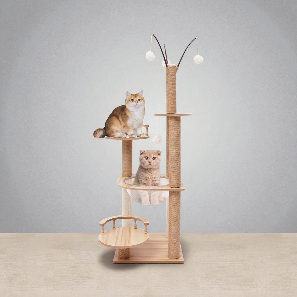 Arbre à chat avec jeux interactifs