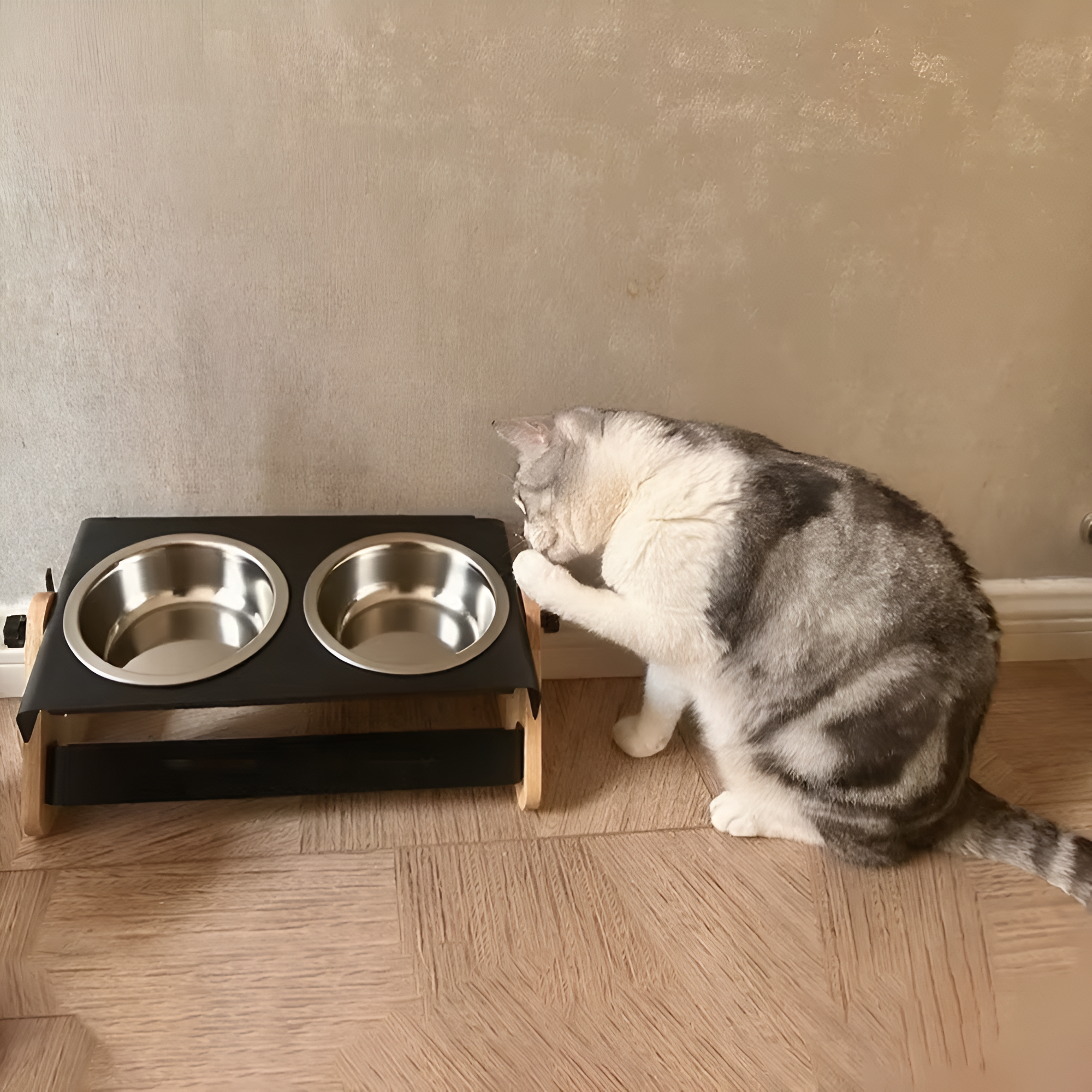 Gamelle repas design et pratique