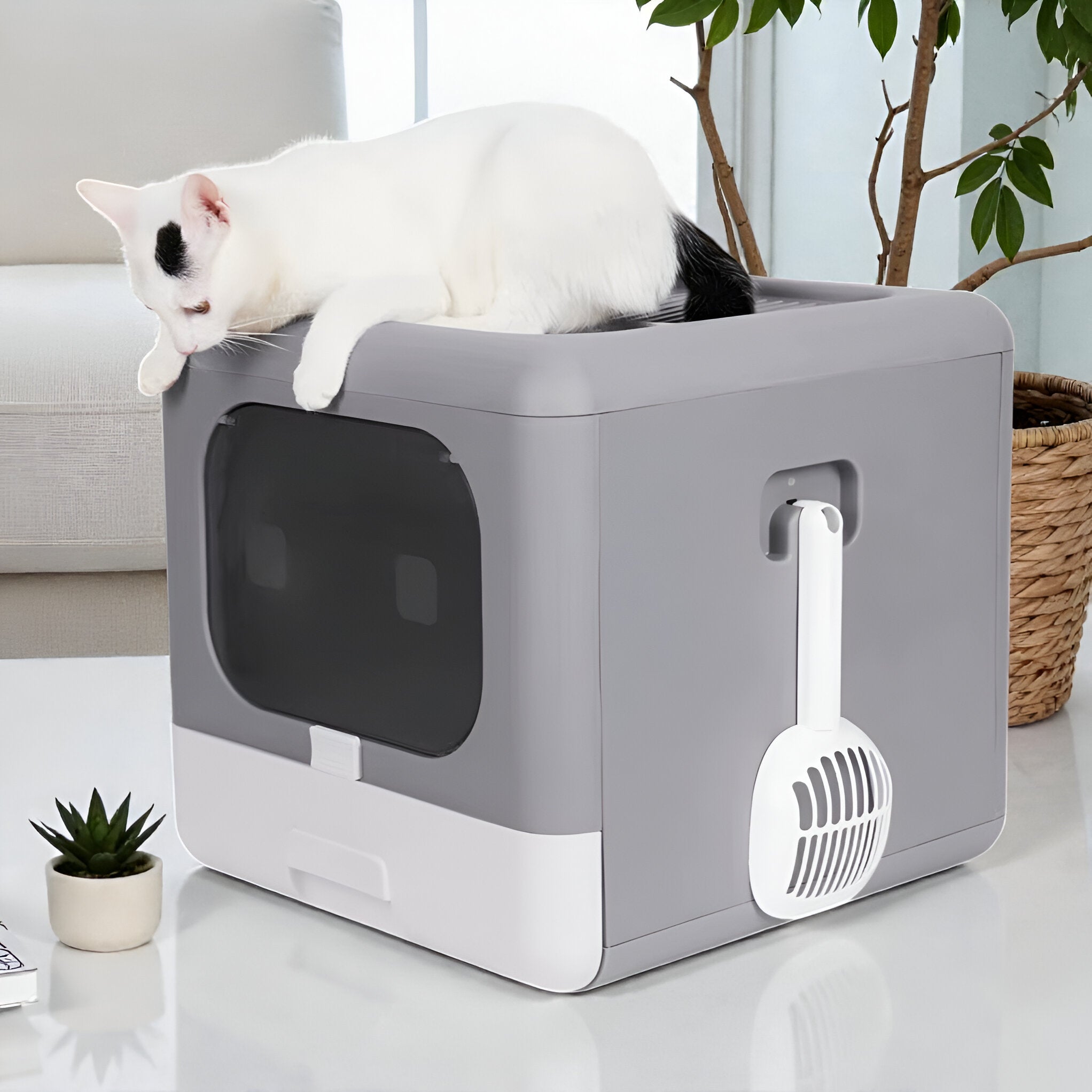 Litière design pour chat cosy