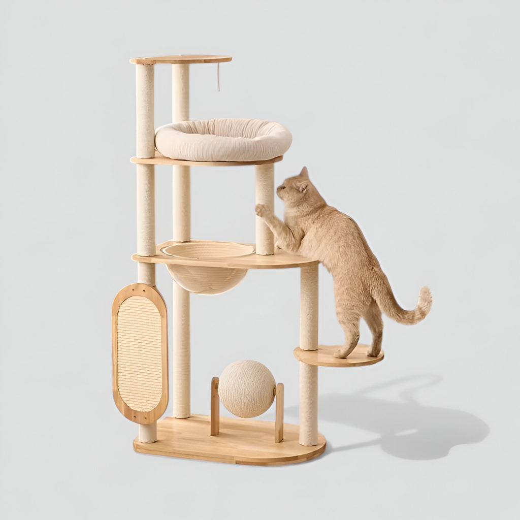 Arbre à Chat Équilibre Naturel