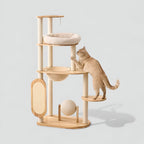 Arbre à Chat Équilibre Naturel