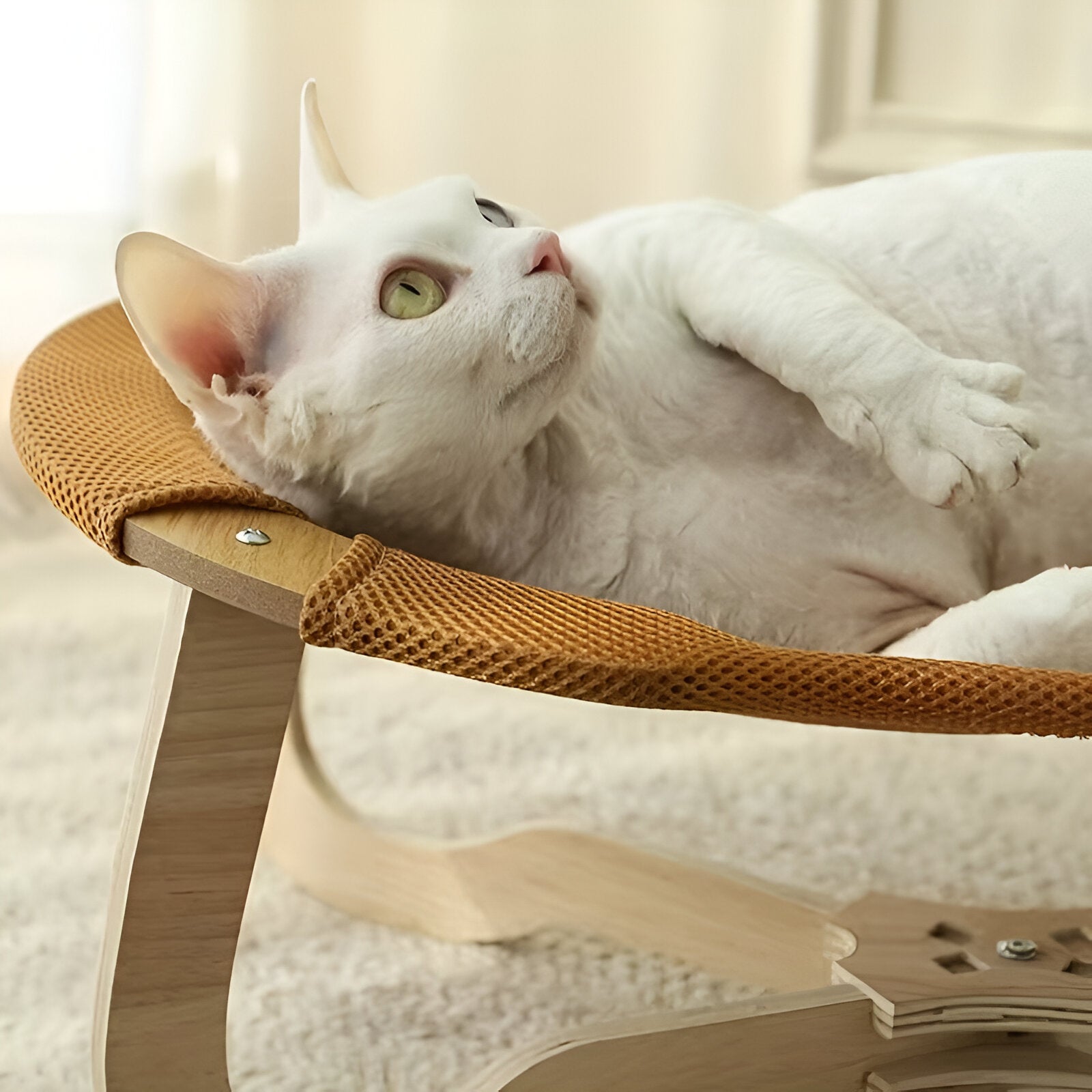 Hamac élégant en bois naturel