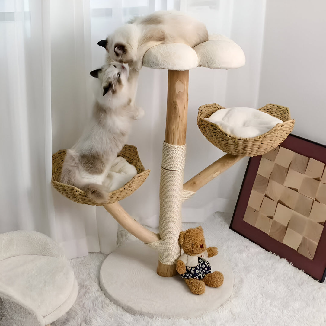 Arbre à chat à Gratter avec Plateformes et Sisal